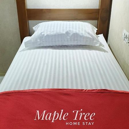Maple Tree Homestay Maguwo Dış mekan fotoğraf