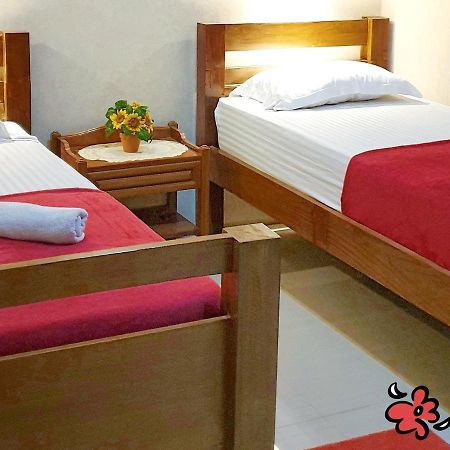 Maple Tree Homestay Maguwo Dış mekan fotoğraf