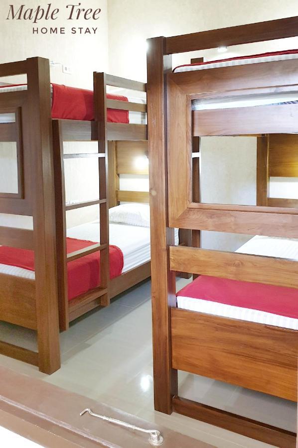 Maple Tree Homestay Maguwo Dış mekan fotoğraf