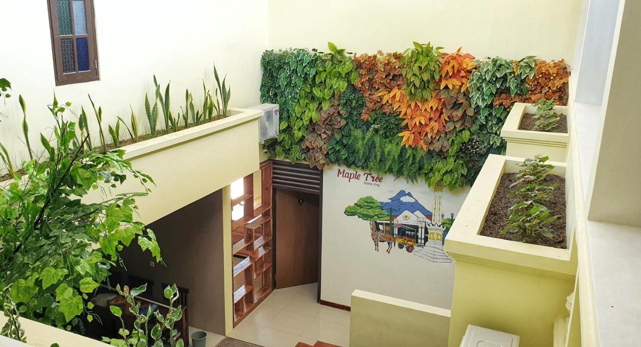 Maple Tree Homestay Maguwo Dış mekan fotoğraf