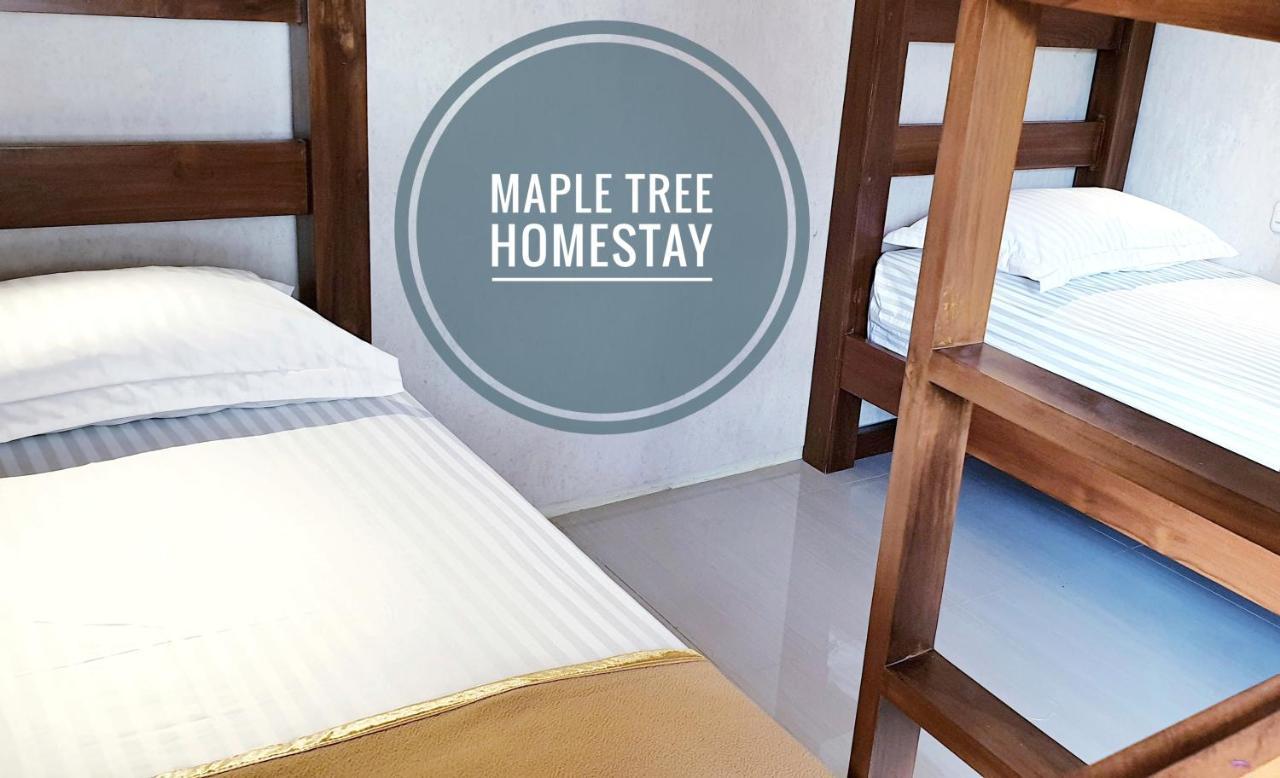 Maple Tree Homestay Maguwo Dış mekan fotoğraf