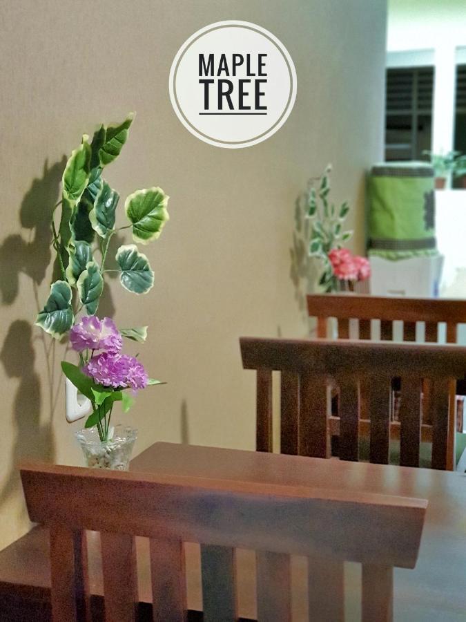 Maple Tree Homestay Maguwo Dış mekan fotoğraf