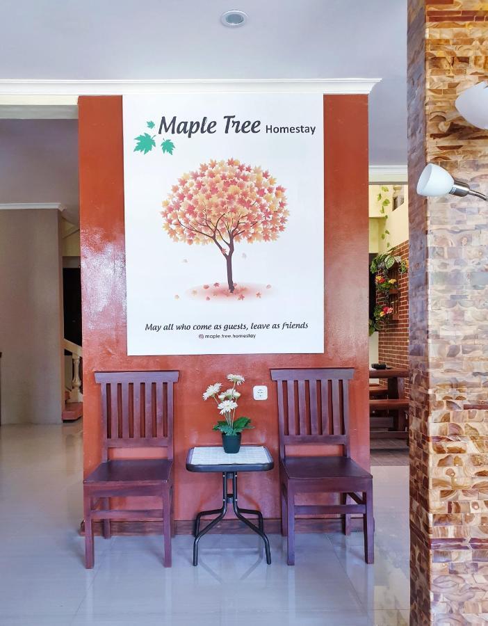 Maple Tree Homestay Maguwo Dış mekan fotoğraf
